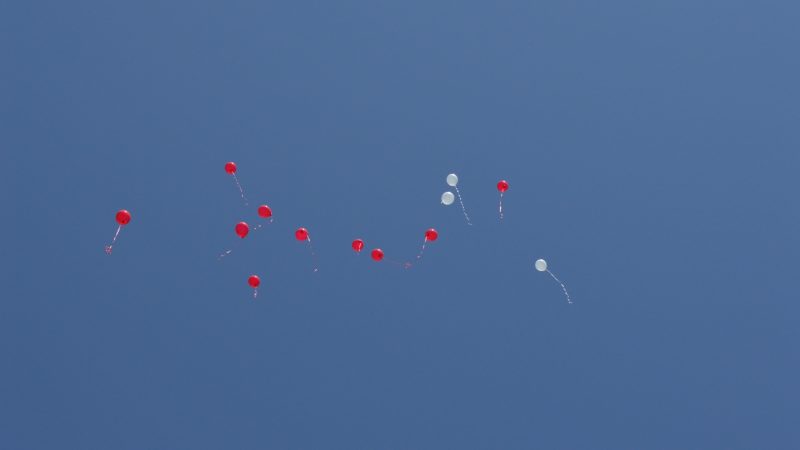 485056793_2089229698168817_1626146474152333847_n