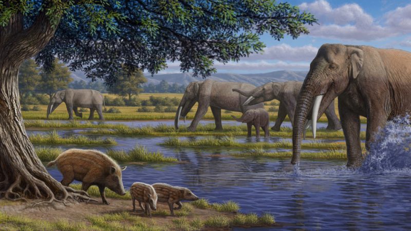 yacimiento-de-las-yeseras-15