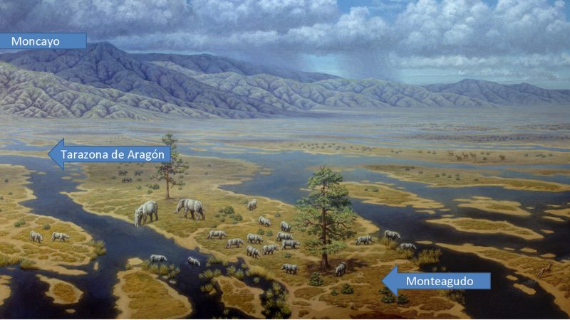 yacimiento-de-las-yeseras-16