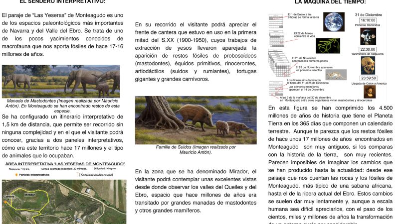 Panel 1 Frontal - Horizontal