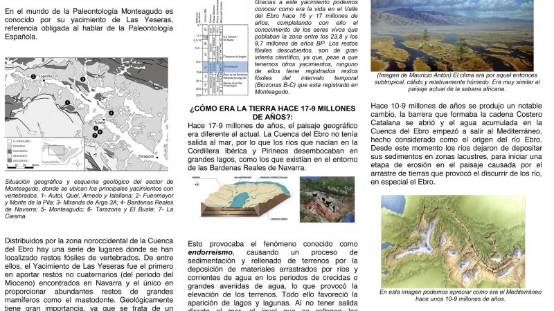 Panel 1 Posterior - Horizontal