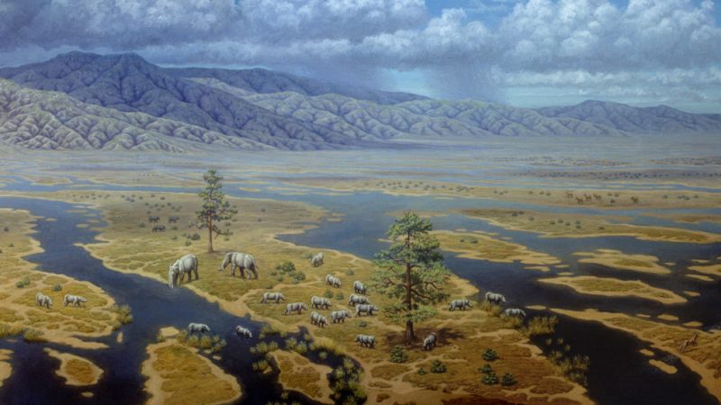 yacimiento-de-las-yeseras-5