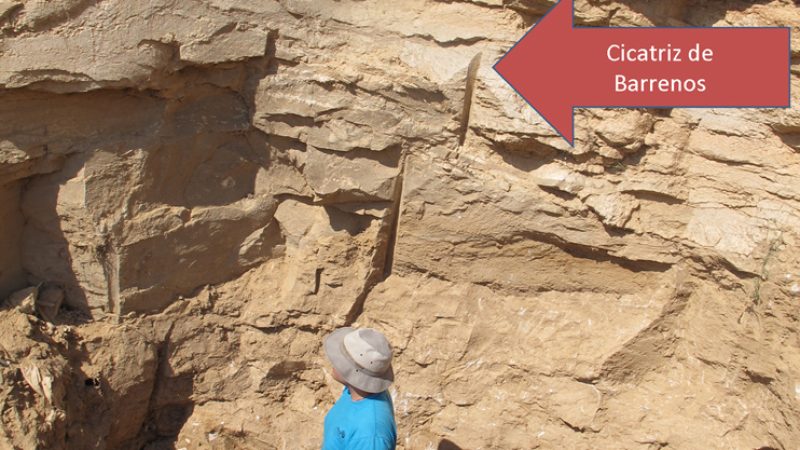 yacimiento-de-las-yeseras-7